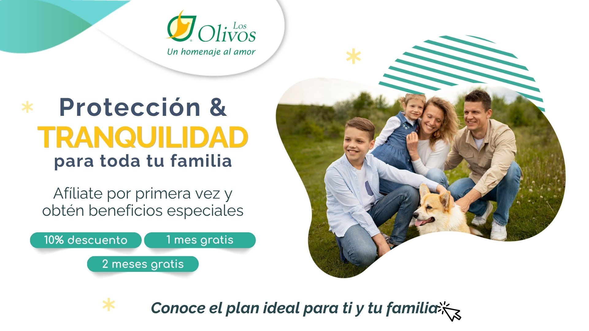 Protección & Tranquilidad